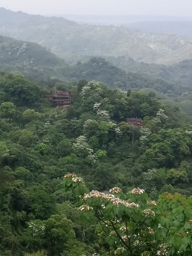 DSC_5074.JPG - 南庄  細湖頂  晴園山莊