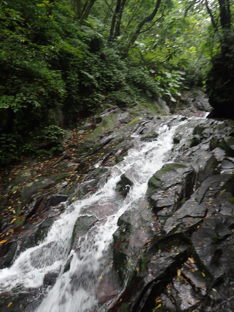 P6114303.JPG - 三芝  大屯溪古道