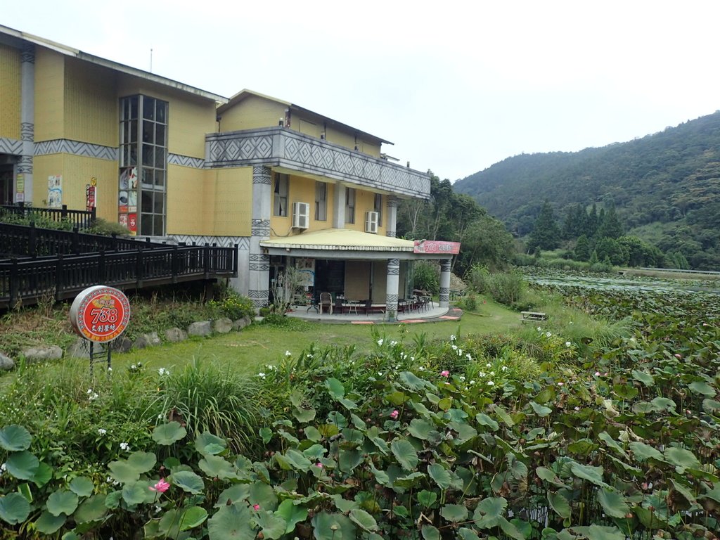 P9250256.JPG - 南庄  向天湖之  環湖步道