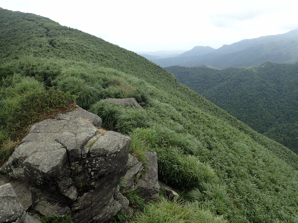 P7165511.JPG - 小觀音山  西峰登山步道