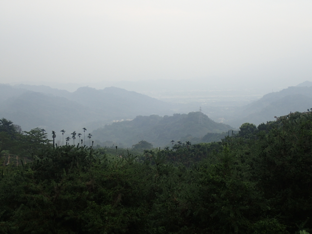 PA171431.JPG - 鹿谷  麒麟潭之  雨中即景