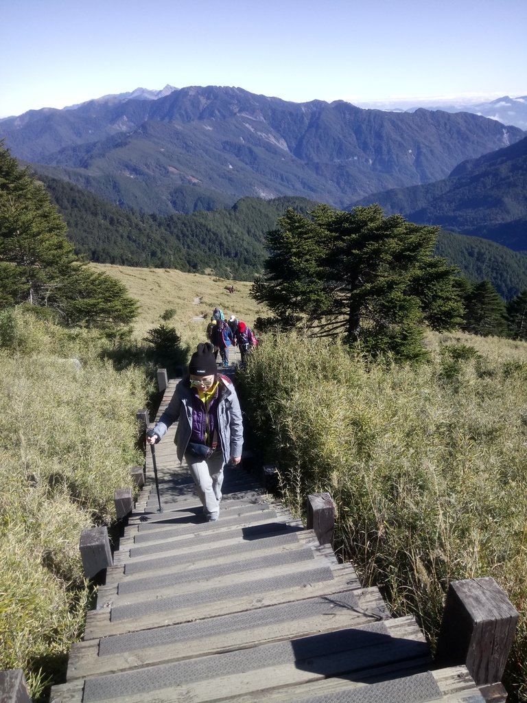 DSC_6646.JPG - 合歡山  東峰