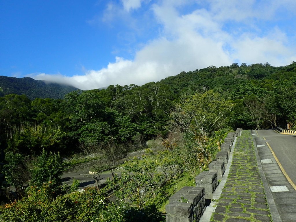 PB247262.JPG - 北投  中正山登山步道 01