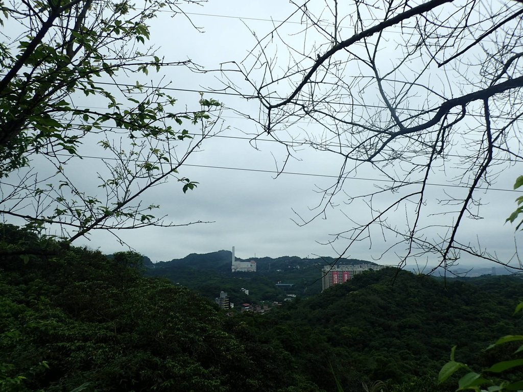 P4143582.JPG - 基隆  五坑山  總督嶺步道