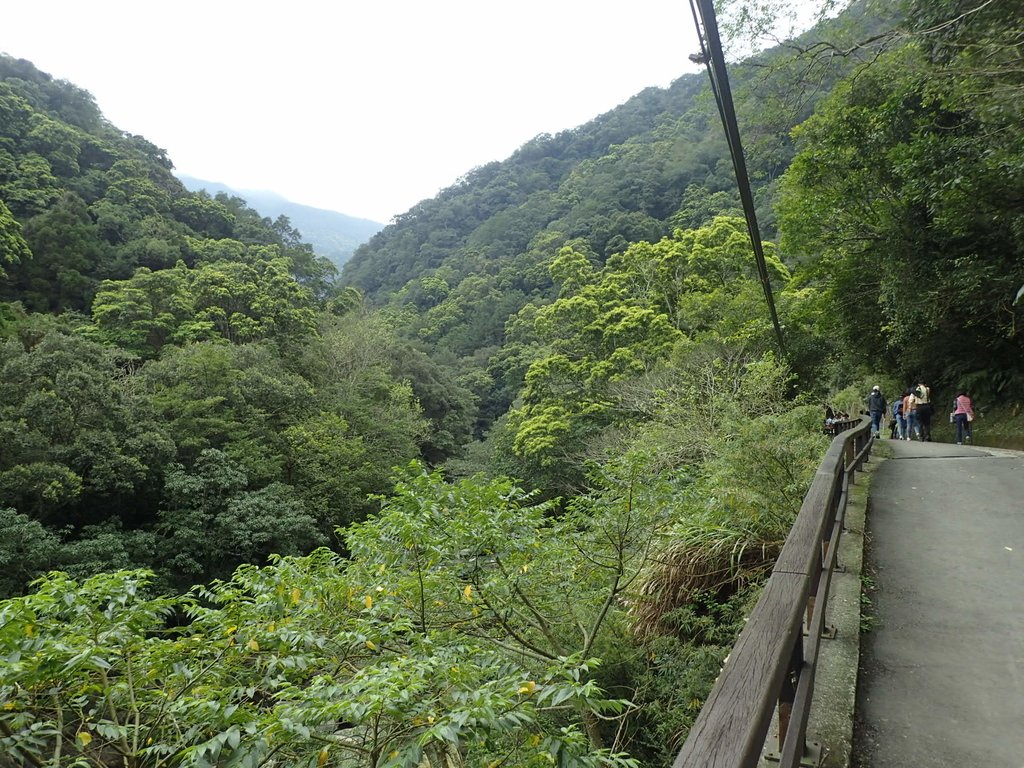 P3028978.JPG - 三峽  滿月圓森林遊樂區