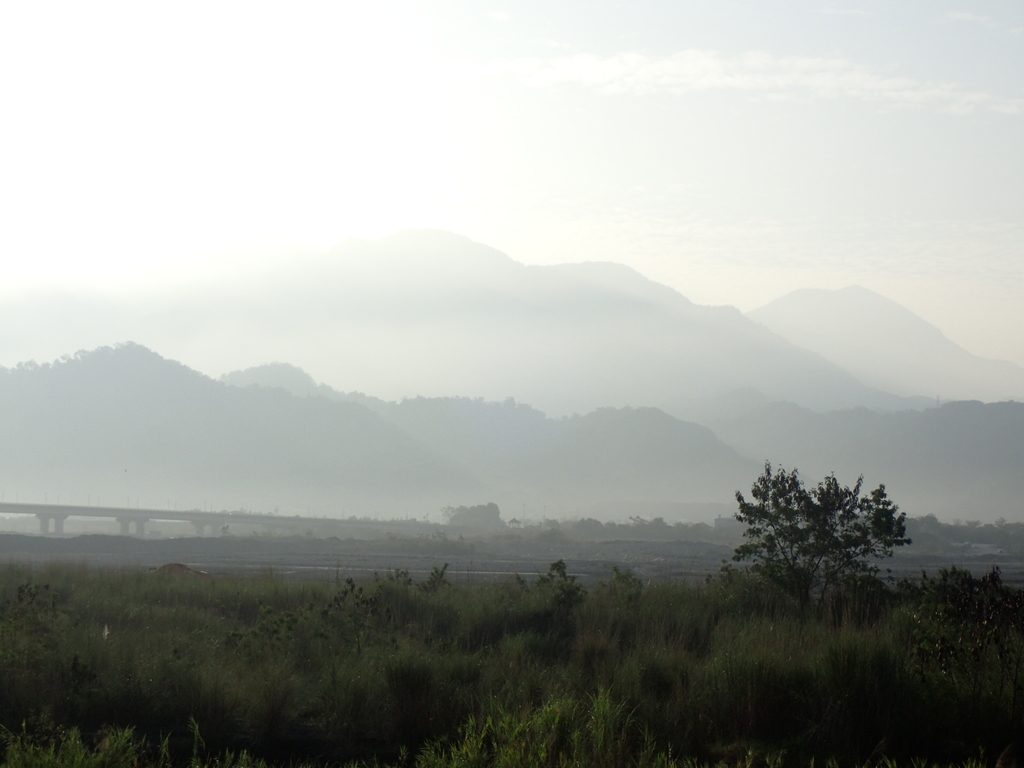 P1073081.JPG - 集集  集鹿大橋  晨光之美