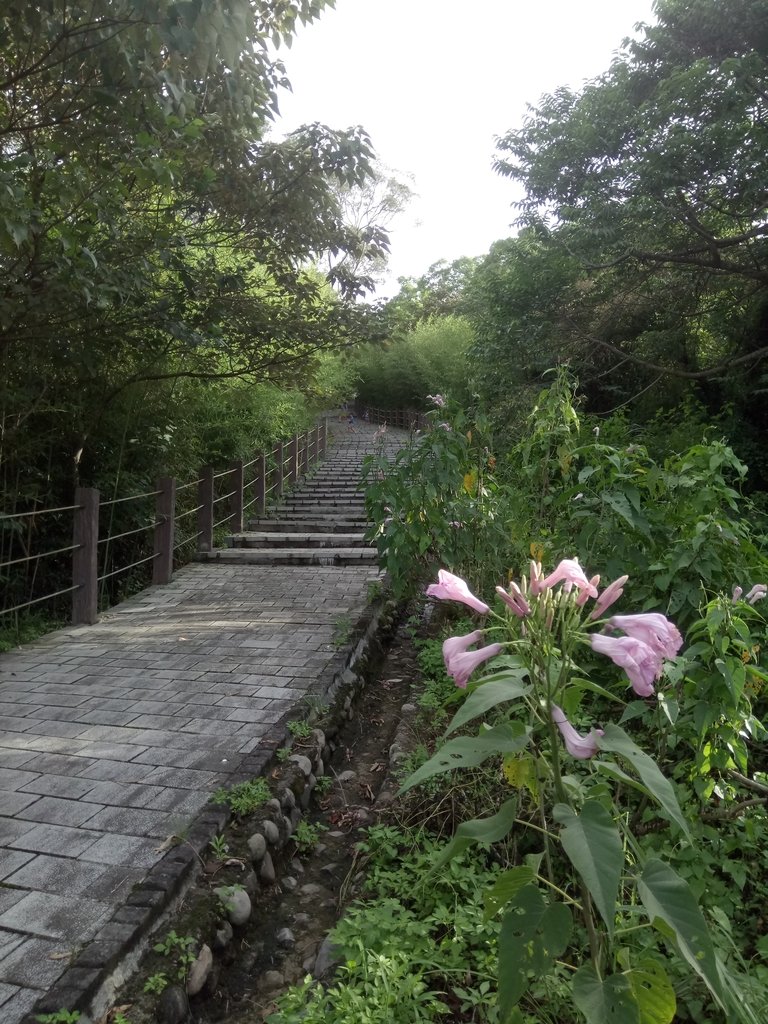 DSC_8927.JPG - 公館  墨硯山步道