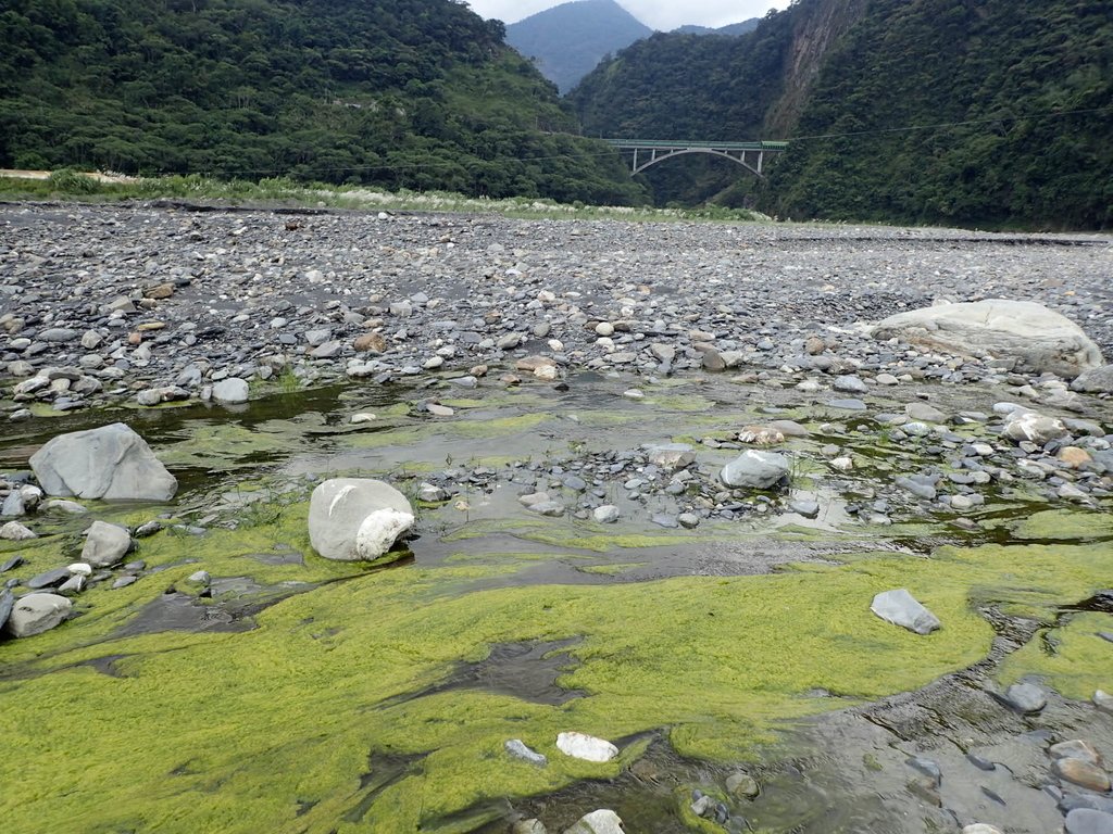 P8156652.JPG - 仁愛  武界  一線天  (上)