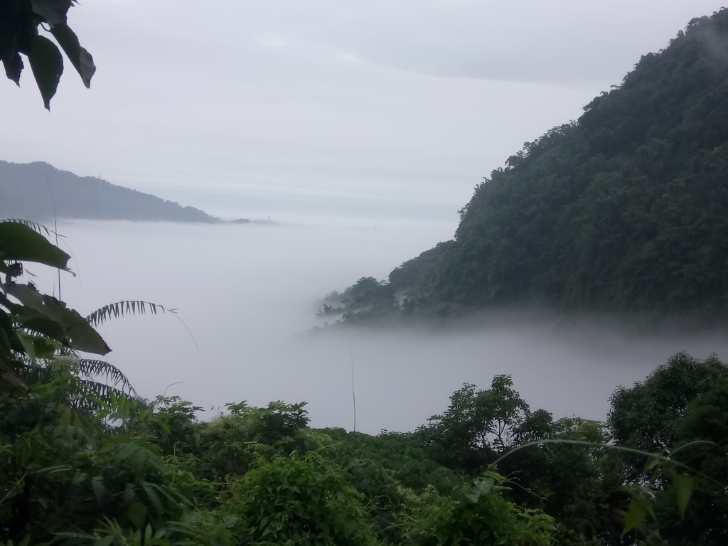 DSC_1132.JPG - 古坑  草嶺  雲山繚繞