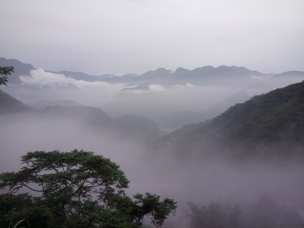 DSC_1387.JPG - 石壁途中之   茶山雲雨