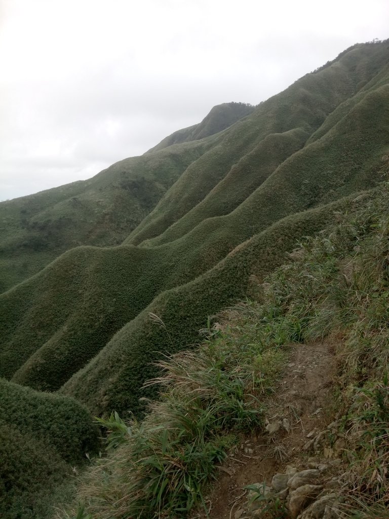 DSC_2826.JPG - 礁溪  聖母登山步道  (抹茶山)