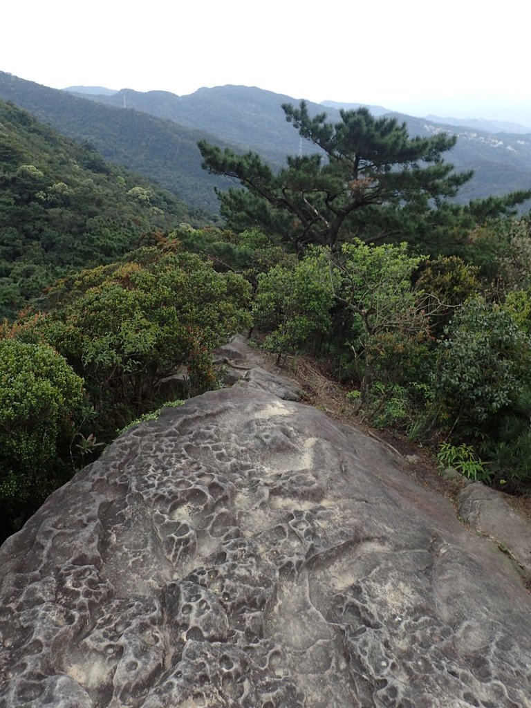 P3160061.JPG - 汐止  柯子林山  如意湖