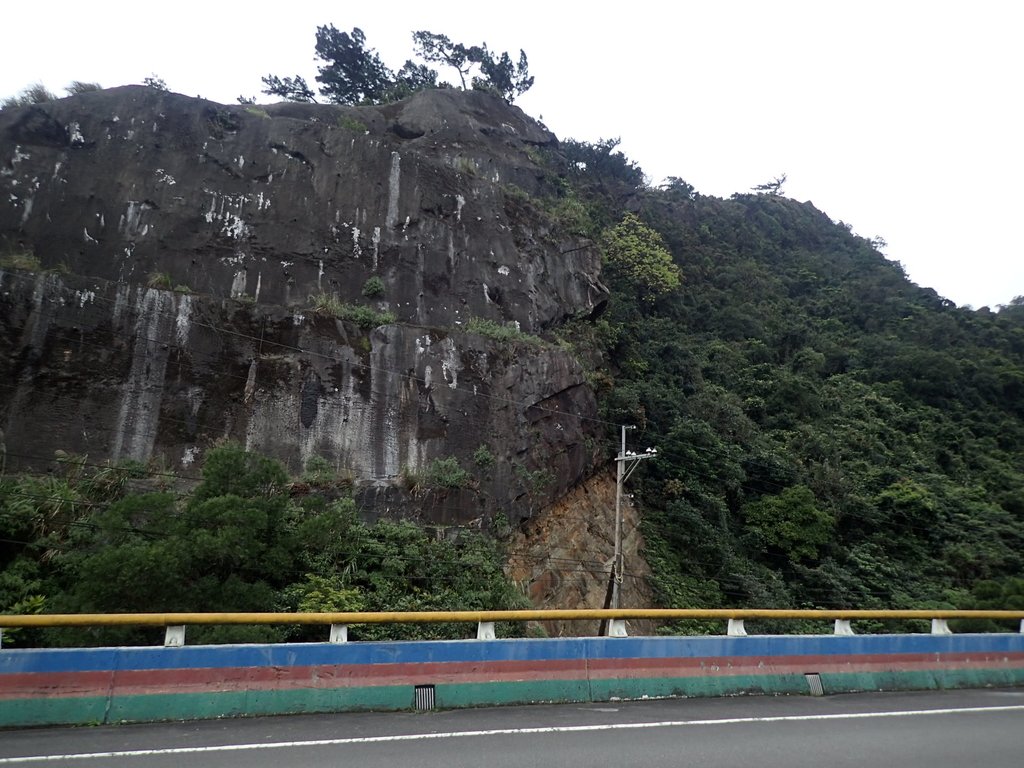 P3160190.JPG - 汐止  金面山(金明山)  稜線步道