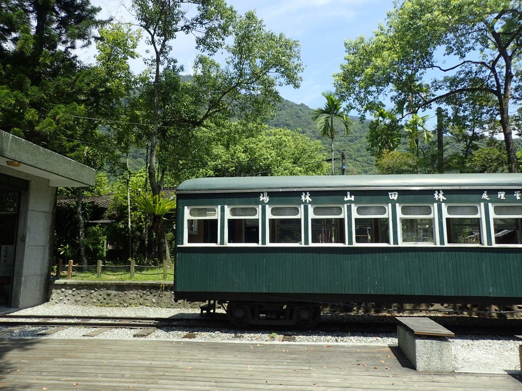 P9087894.JPG - 花蓮  鳳林  林田山林業文化園區