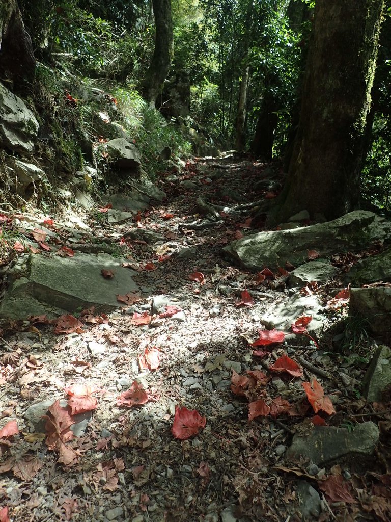 PA185629.JPG - 台中  和平  稍來山