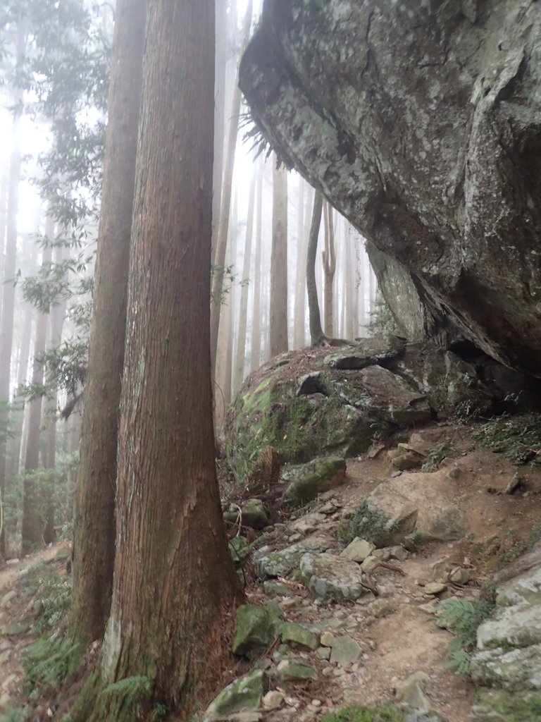 P2034961.JPG - 南庄  加里山  森林鐵道