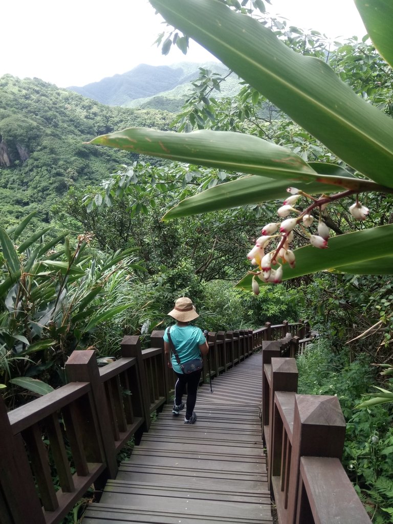 DSC_8068.JPG - 瑞芳  鼻頭角稜谷步道  聽濤營區