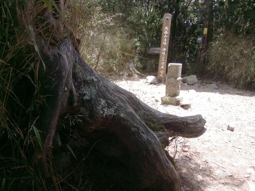 DSC_9975.JPG - 谷關七雄之  馬崙山  (下)