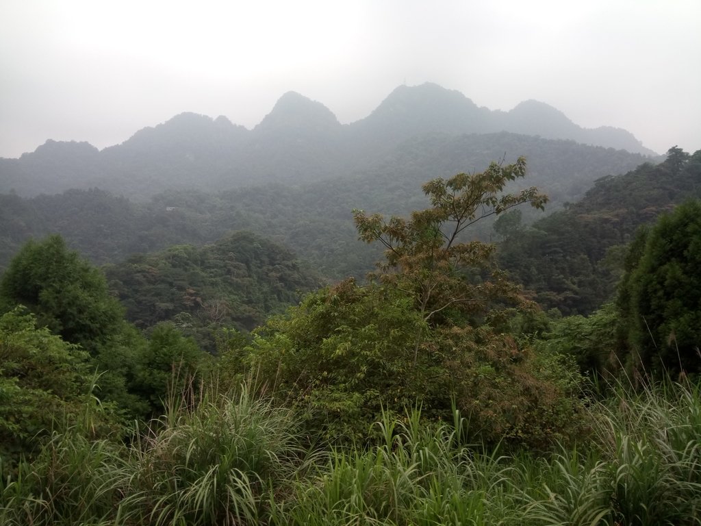 DSC_1078.JPG - 新竹  五指山登山步道