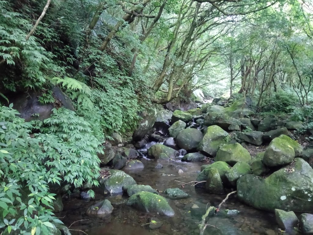 DSC_0688.JPG - 三芝  大屯溪古道