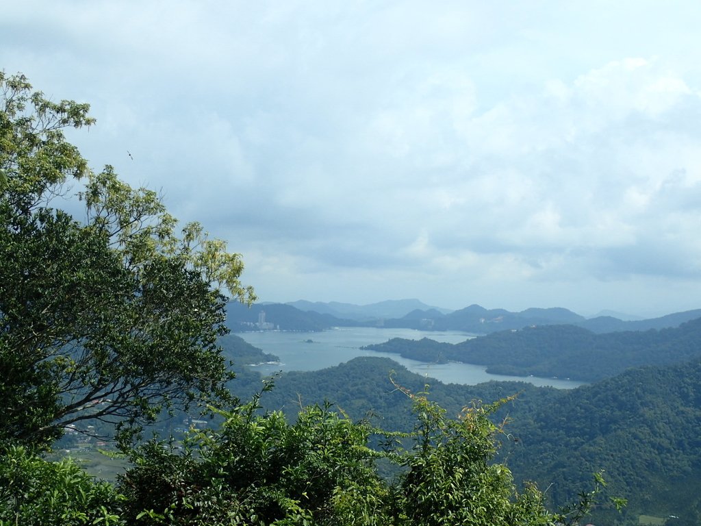 P9017438.JPG - 魚池  頭社  後尖山步道