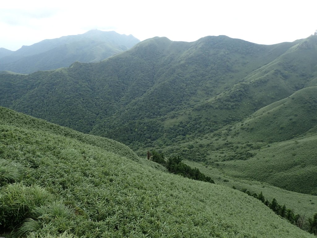 P7165512.JPG - 小觀音山  西峰登山步道