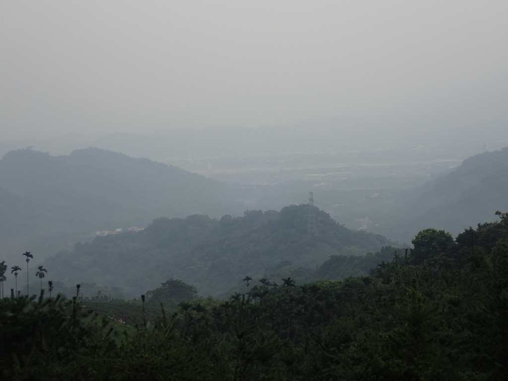 PA171436.JPG - 鹿谷  麒麟潭之  雨中即景