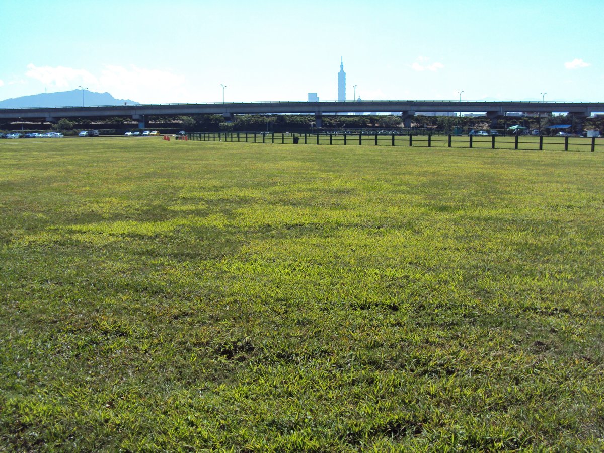 DSC03693.JPG - 松山  觀山河濱公園