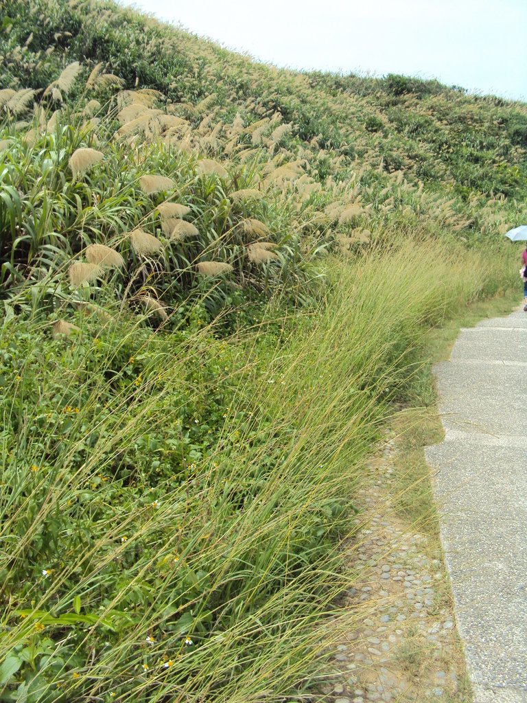 DSC08976.JPG - 富貴角燈塔步道