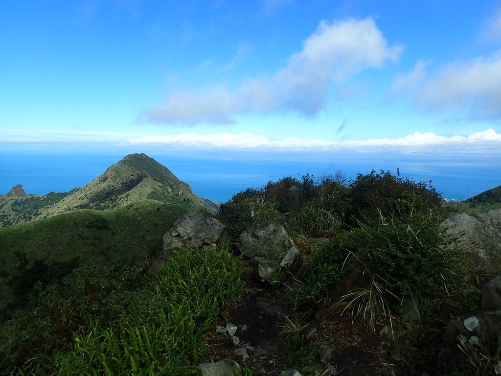 P1102305.JPG - 樹梅礦場  燦光寮山