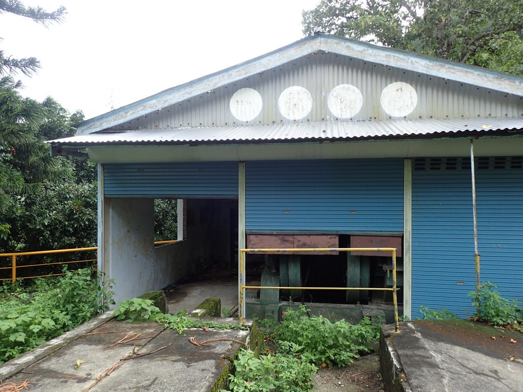 P8287386.JPG - 公館  出礦坑登山步道