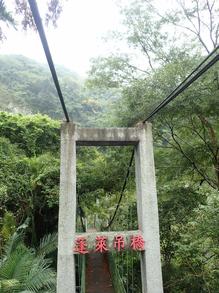 PA231614.JPG - 草嶺  蓬萊瀑布步道