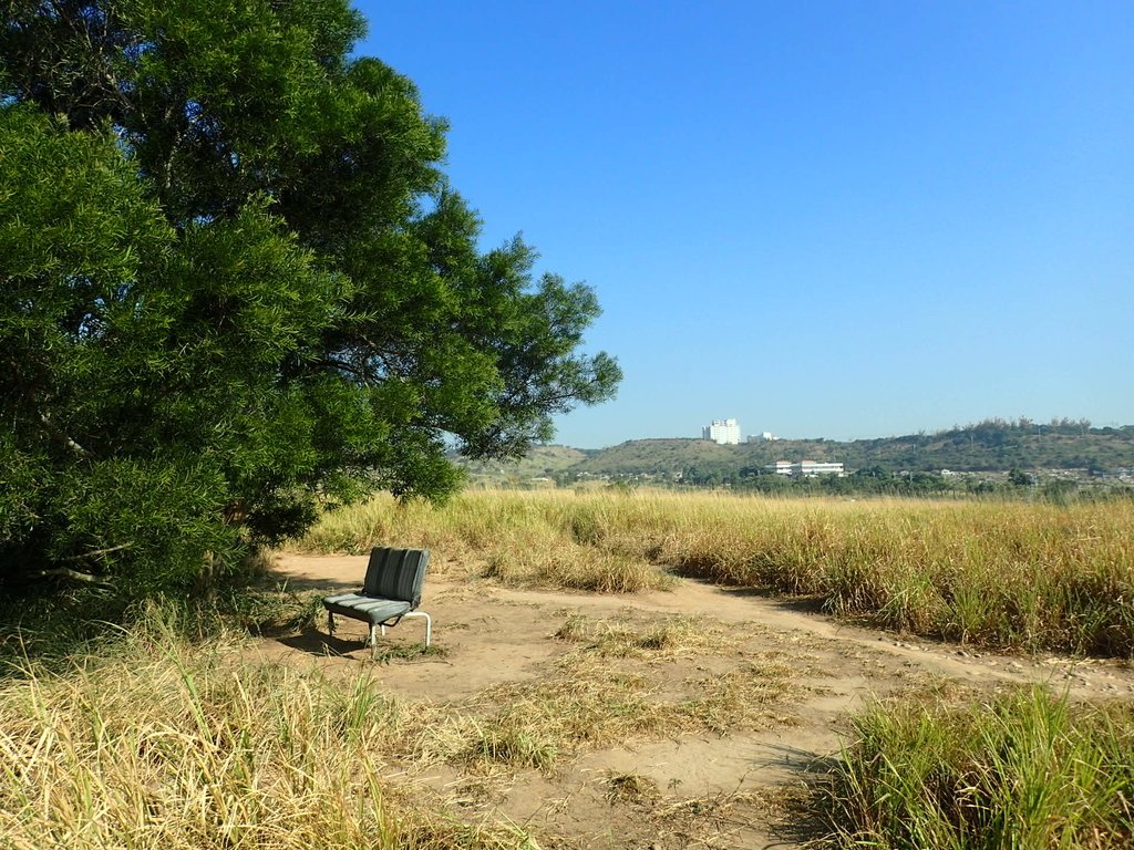 PA282034.JPG - 烏日  學田山登山步道