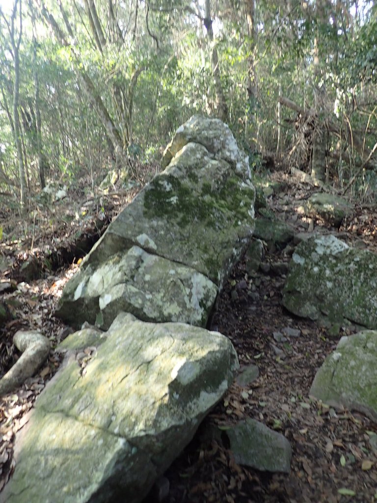 P3217541.JPG - 谷關七雄  白毛山  01