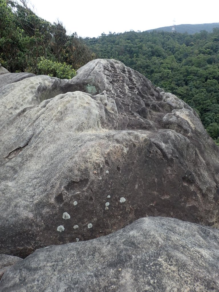 P3160071.JPG - 汐止  柯子林山  如意湖