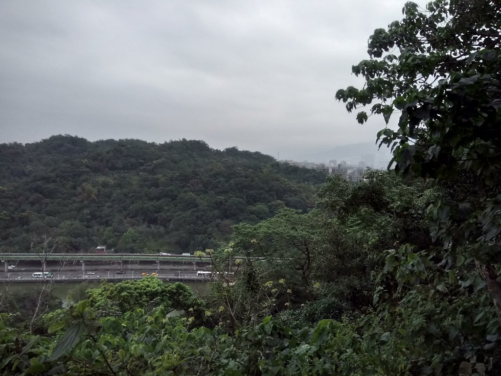 DSC_9253.JPG - 內湖  白鷺鷥山親山步道