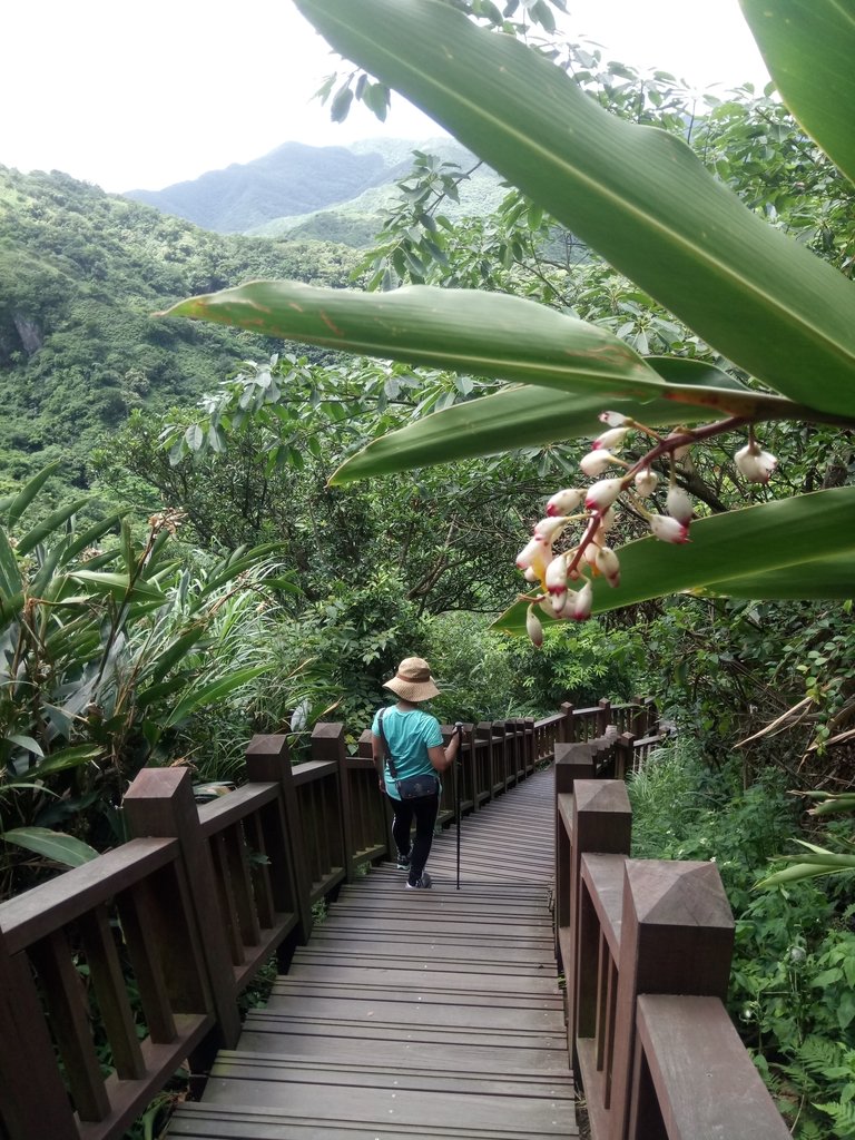 DSC_8069.JPG - 瑞芳  鼻頭角稜谷步道  聽濤營區