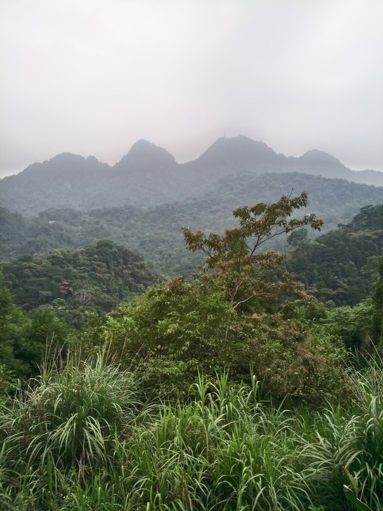 DSC_1079.JPG - 新竹  五指山登山步道