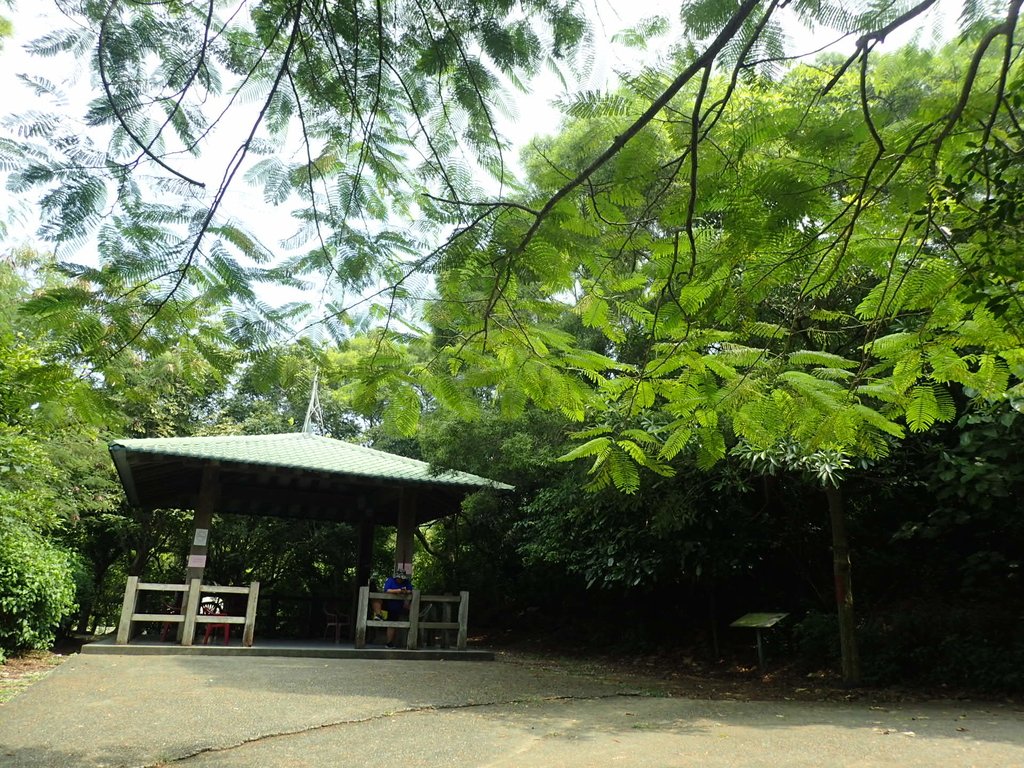 P9189246.JPG - 岡山  大崗山登山步道