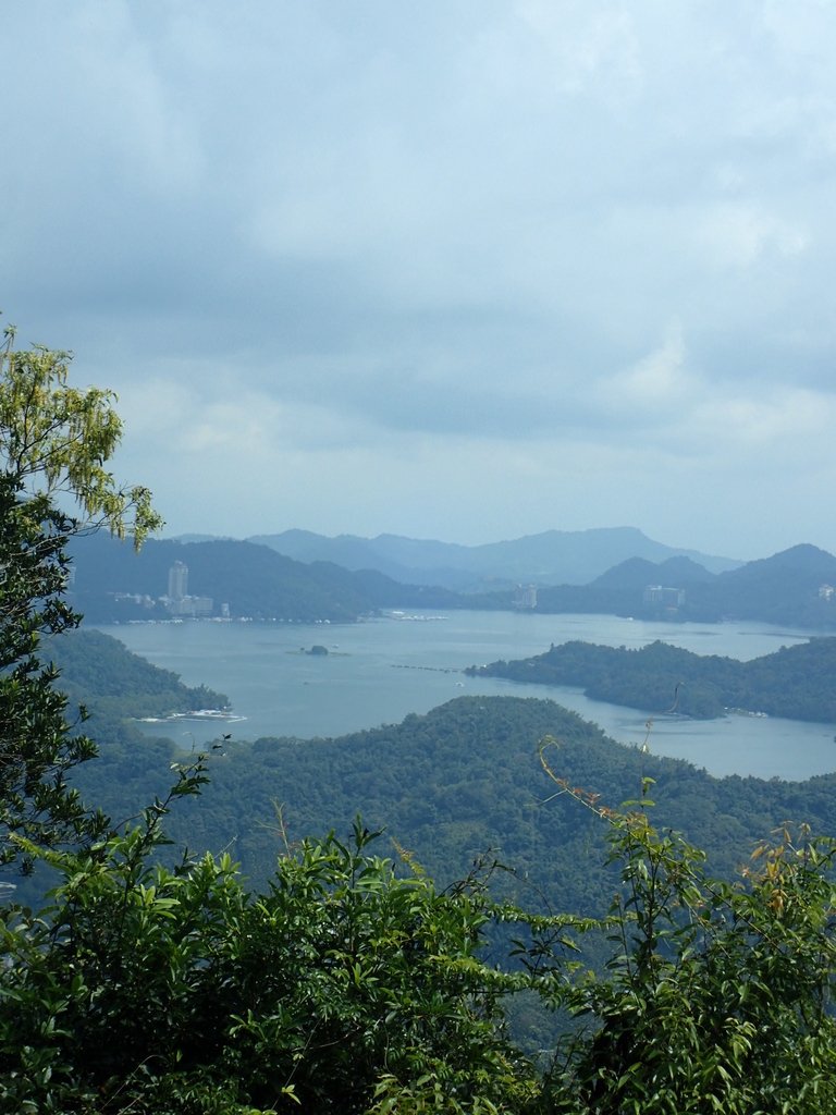 P9017447.JPG - 魚池  頭社  後尖山步道