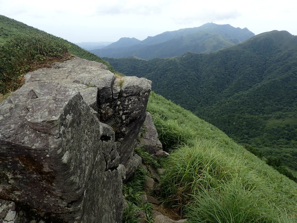 P7165519.JPG - 小觀音山  西峰登山步道