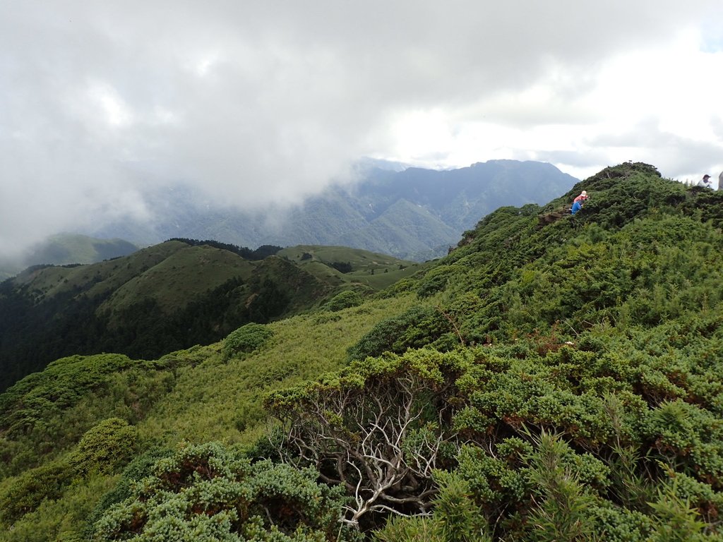 P7245999.JPG - 合歡山  北峰之美  (中)