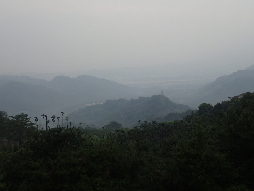 PA171437.JPG - 鹿谷  麒麟潭之  雨中即景