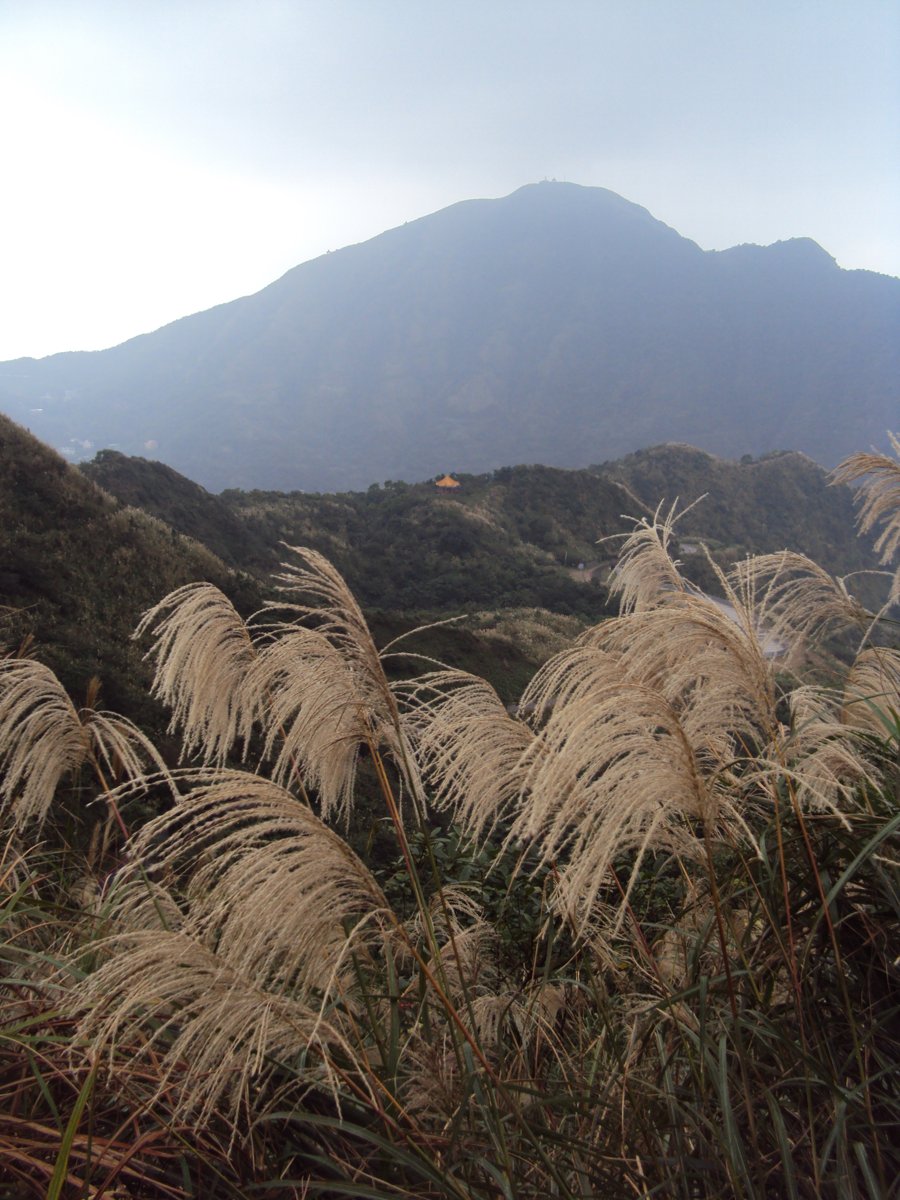 DSC03254.JPG - 無耳茶壺山產業道路