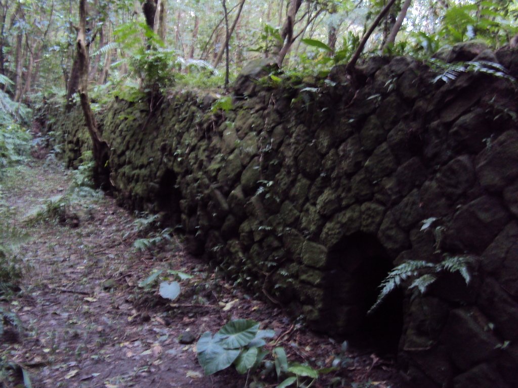 DSC03330.JPG - 瑞芳  粗坑口登山步道