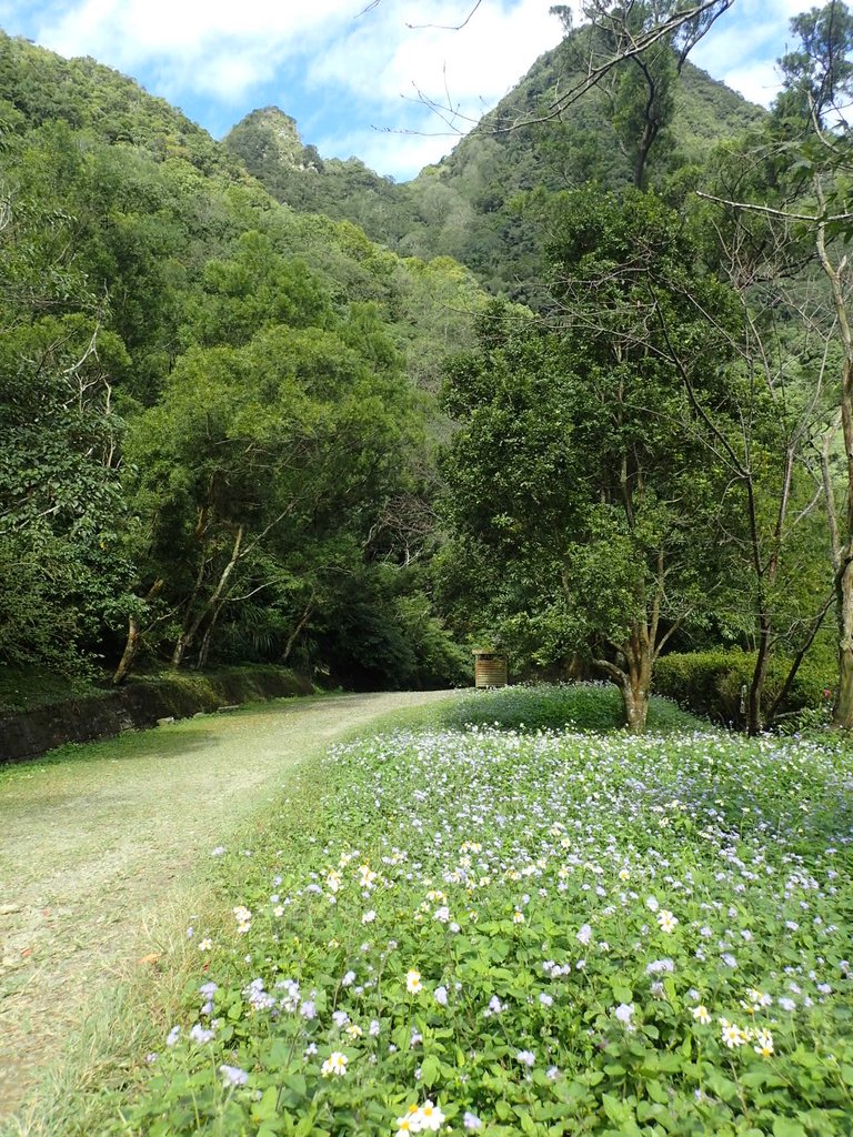 PB257561.JPG - 復興  東滿步道