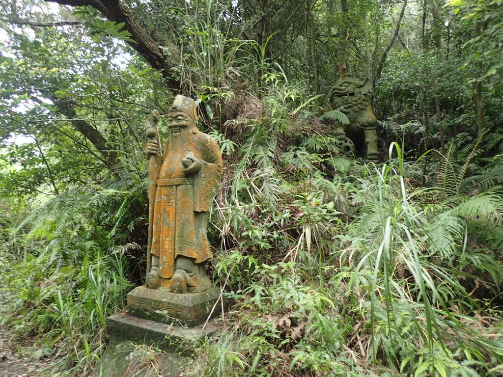 P2288666.JPG - 內湖  大崙頭山