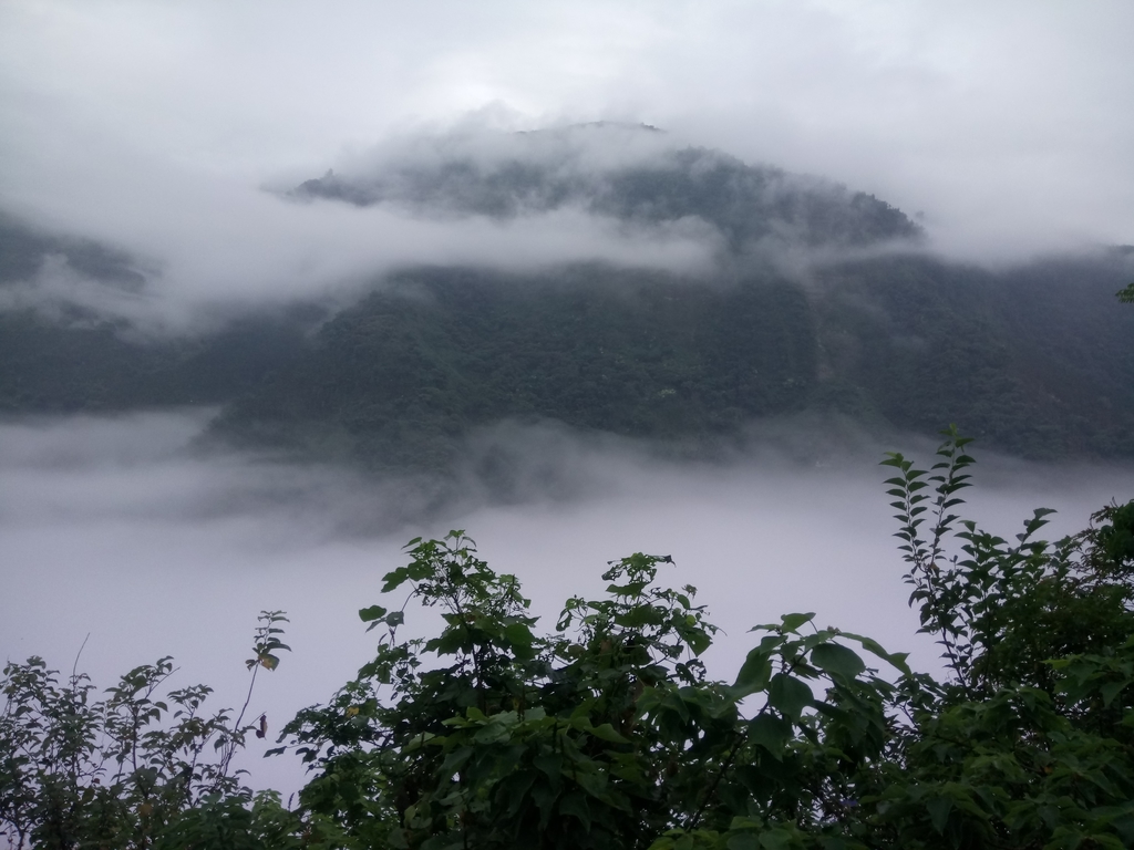 DSC_1134.JPG - 古坑  草嶺  雲山繚繞