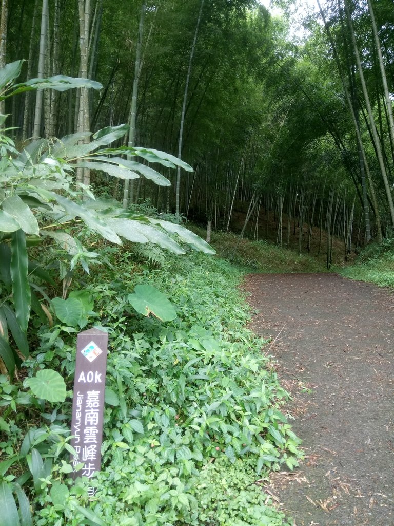 DSC_1222.JPG - 石壁山  嘉南雲峰步道