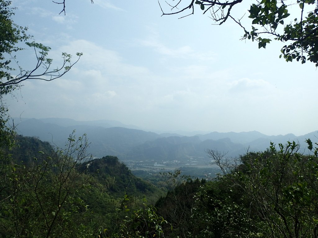 P3016051.JPG - 草屯平林  九九峰森林步道